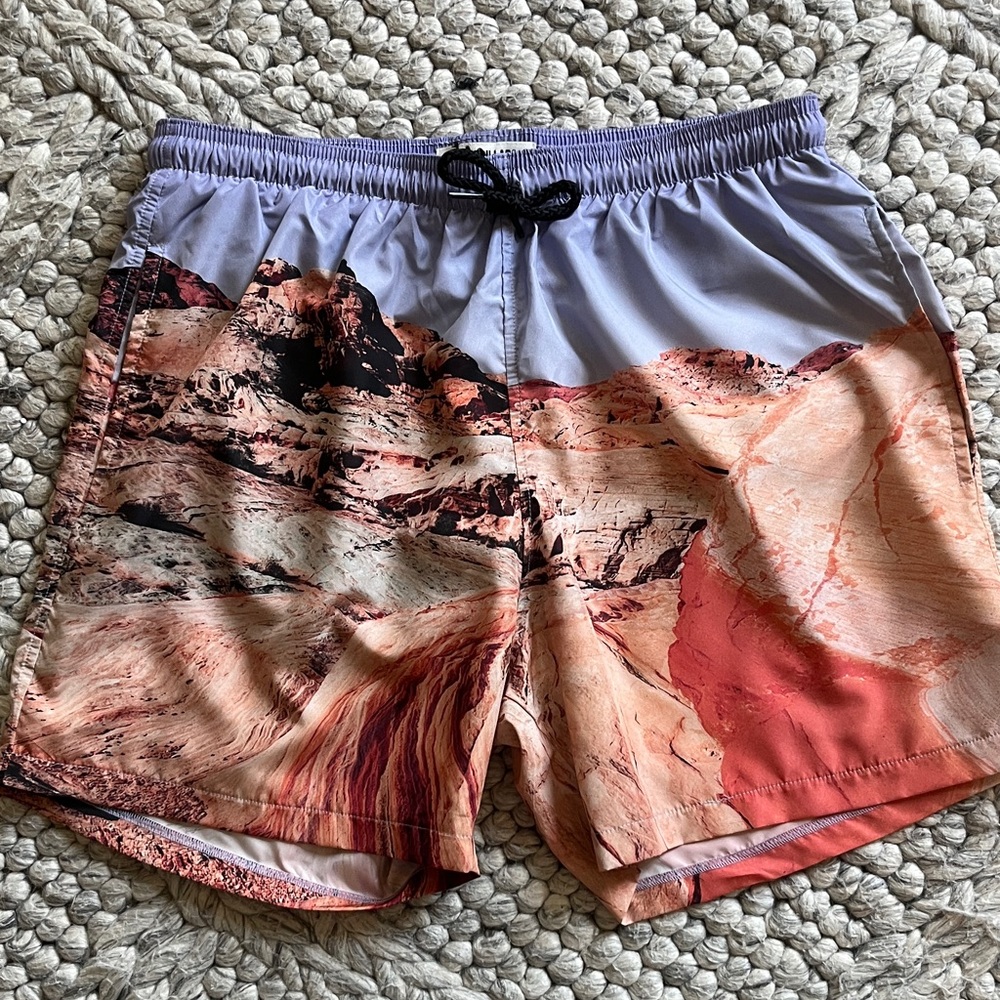 NWT CAT WWR allover desert rock print swim trunks